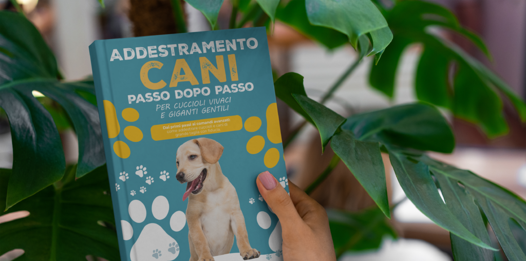 addestramento cani passo dopo passo